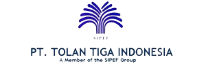 tolan tiga medan